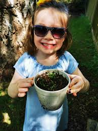 The hottest shrubs for early spring