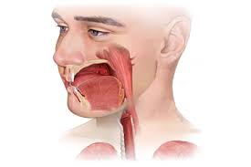 You may also feel as if you have something lodged in your throat. Oropharyngeal Cancer Signs Symptoms And Tests Head And Neck Cancer Types Head And Neck Cancer Australia