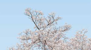 The color of the sky and sea is a color of air and water. 2021 Color Of The Year And Trend Colors Florida Paints