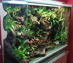 Pin By Ivan Ray On Paludarium Frog Terrarium Reptile Terrarium Gecko Vivarium