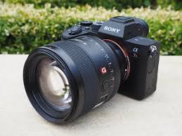 The 5 Best Low Light Dslrs You Can Buy In 2019