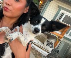 Lost Dog Ruby in Stoddard Wells Rd Area