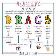 A Cup Of French On Instagram In General French Adjectives Are Placed After The Noun Th In 2020 French Adjectives French Flashcards French Language Lessons