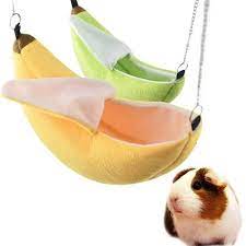 71 Hammies Ideas In 2021 Hamster House Hamster Toys Small Pets
