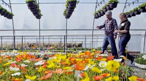 We did not find results for: Home O Toole S Garden Centers