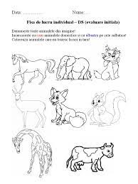 We did not find results for: Animal E