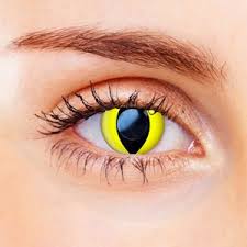 Cat eyes contact lenses hit that halloween event like never before with scle. Yellow Contacts Spooky Yellow Cat Eye Contacts