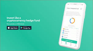 The fund will split its assets into two separate index classes. 6 Best Automated Cryptocurrency Index Funds 2021