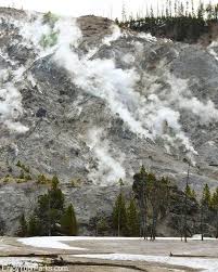 Check spelling or type a new query. Pin On Yellowstone National Park