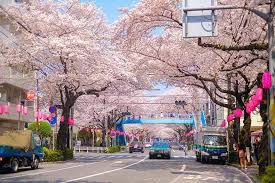 Chúng tôi đã có điều chỉnh. Nháº­t Báº£n Chá» Toi Nhe Khong Biáº¿t Tá»« Bao Giá» Toi Yeu NÆ°á»›c Nháº­t Ä'áº¿n Váº­y Nháº­t Báº£n Cháº¯c Trá»« Toi Ra Toi HÆ¡i Thiáº¿u Tin TÆ°á»Ÿng Vao