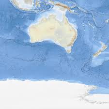 Image result for Scleria polyrrhiza