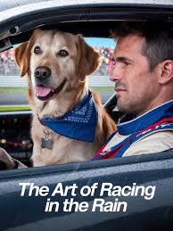 The Art of Racing in the Rain (2019) The Art of Racing in the Rain (2019)  is a heartfelt drama based
