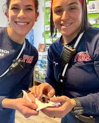 Profile for Eugene Springfield Fire