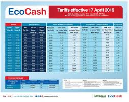 Ecocash Increases Tariffs Techzim