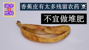 The site owner hides the web page description. åº­é™¢ç§èœ é¦™è•‰çš®æ®‹ç•™å†œè¯å¤ªå¤š ä¸å®œåšå †è‚¥ Www Wenxuecity Com