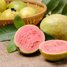 Gratis untuk komersial tidak perlu kredit bebas hak cipta. 8 Manfaat Buah Jambu Biji Merah Bagi Kesehatan Dan Kecantikan Bisa Tingkatkan Imunitas Ragam Bola Com