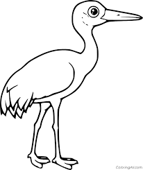 The common name of this bird refers to habitat like that at the platte river. Sandhill Crane Coloring Page Coloringall