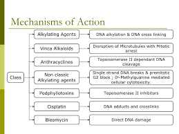 Pin On Med Images