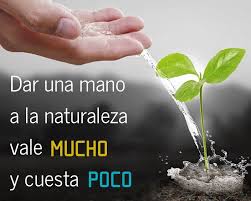 Sobre la necesidad de cuidar mejor la naturaleza y el mundo en el que vivimos. Resultado De Imagen Para Dale Una Mano A La Naturaleza Reflexion Superacion Personal Medio Ambiente Cuidar El Planeta