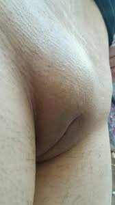 TY__199_.jpg - ImageTwist