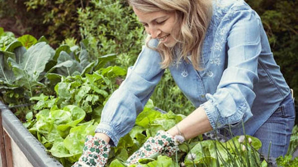 How to Design a Small Garden Layout for Maximum Space and Beauty