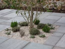 Large Garden In Ranelagh Dublin 6 Howbert Mays Garden Centre May Garden Ground Cover Olive Tree