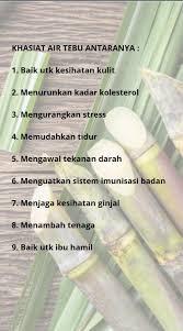 Minum air tebu setiap hari dalam jika anda secara teratur menderita insomnia atau gangguan tidur, khasiat air tebu dapat. P A D O I Air Tebu Mangga Ada Khasiatnya Yang Facebook