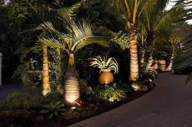 Landscaping Sarasota Florida With Tropical Palm Trees Palm Trees Landscaping Florida Landscaping Tropical Landscaping