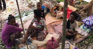 The fate of the orang asli are intertwined with that of the rainforest. Everything To Know About The 14 Orang Asli Deaths In Kuala Koh
