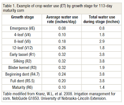 How do the plants avoid losing too much water? Water Use And Irrigation Timing For Corn
