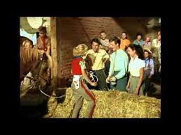 Hochzeit auf immenhof (ganzer film auf deutsch). Hochzeit Auf Immenhof 1956 Filme Klassiker Bilder Hof