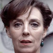 Watch Live TV, Movies, and TV Shows Free Online