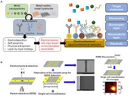 Get this location maps and gps coordinates. Frontiers Electrochemical Cell Chips Based On Functionalized Nanometals Chemistry