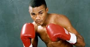 Félix "Tito" Trinidad revela por qué nunca hubo pelea con Julio César  Chávez: "Yo habría sido vencedor" | Izquierdazo Noticias