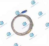 106765-07 Bently Nevada | Interconnect Cable