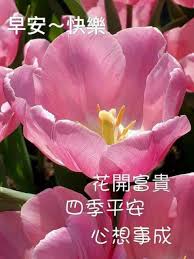 pin by 琳琳 on greeting good morning greetings good morning wishes morning greeting