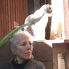 Lana Almendra (@lana_almendra) · Instagram 照片和视频