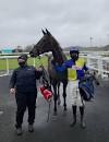Image result for dan skelton twitter