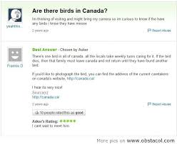 Are There Birds In Canada Wth Just For Laughs Funny Messages Tumblr Funny
