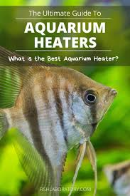 Pin On Freshwater Aquarium