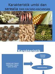 We did not find results for: Jenis Serealia Kacang Kacangan Dan Umbi Ciri Ciri Fisik Berbagai Jenis Itu