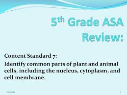 Check spelling or type a new query. Ppt 5 Th Grade Asa Review Powerpoint Presentation Free Download Id 2649282