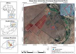 Check spelling or type a new query. Frontiers Disentangling Drought And Grazing Effects On Soil Carbon Stocks And Co2 Fluxes In A Semi Arid African Savanna Environmental Science