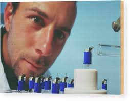 Bee Experiment #1 Wood Print