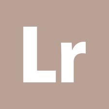 Adobe Lightroom Light Brown