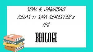 Check spelling or type a new query. Soal Pat Biologi Kelas 11 Sma Smk Semester 2 Kunci Jawaban Ukk Uas Pilihan Ganda Essay Tribun Pontianak