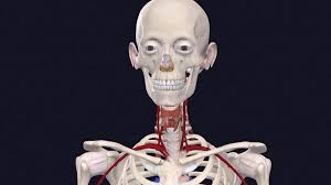 Medical student: 'I had to sell my house to become a doctor'