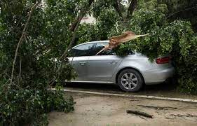 Katanya, ketika kejadian hujan lebat berserta angin kencang menyebabkan sebatang pokok ru telah tumbang dan menghempap bonet sebuah kereta proton waja. Pokok Tumbang Atas Kereta Boleh Tak Claim Insurans Etiqa Blog