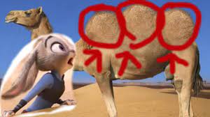 What do you call a monkey who loves chips? 3 Humps Zootopia Youtube