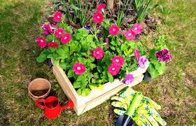 Maybe you would like to learn more about one of these? Simple Tips For Colorful Outdoor Flower Displays Westlake Ace Hardware